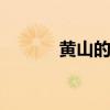 黄山的奇石 大美黄山奇松怪石