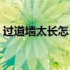 过道墙太长怎么装饰 谁清楚如何装饰过道墙 