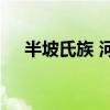 半坡氏族 河姆渡与半坡氏族异同点对比