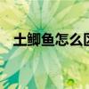 土鲫鱼怎么区别 区别土鲫、银鲫和工程鲫