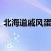 北海道戚风蛋糕 马芬蛋糕的配方和做法优质