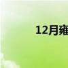12月雍和宫恢复开放了吗2021