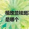 植玫兰祛斑怎么样 十大美白祛斑排行榜首位是哪个