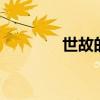 世故的意思 成熟世故的区别