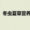 冬虫夏草营养酒!(喝冬虫夏草酒有什么好处) 冬虫夏草营养酒!(喝冬虫夏草酒有什么好处)