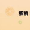 獾猪 狗獾和猪獾有什么区别