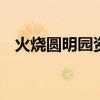 火烧圆明园资料 火烧圆明园主要内容简介 火烧圆明园资料 火烧圆明园主要内容简介