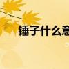 锤子什么意思 四川俚语：话说“锤子”