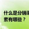 什么是分销渠道设计，影响分销渠道设计的因素有哪些？
