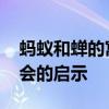 蚂蚁和蝉的寓意 蝉和蚂蚁的寓言，对当代社会的启示