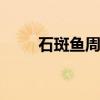 石斑鱼周星驰 周星驰配音员石斑鱼