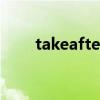 takeafter take after 和 look like