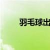 羽毛球出界 羽毛球单打规则边界图