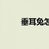 垂耳兔怎么养(家庭养兔子的方法) 垂耳兔怎么养(家庭养兔子的方法)