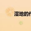 湿地的作用 湿地的作用高中地理