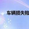 车辆损失险是什么意思 车损险赔偿范围 车辆损失险是什么意思 车损险赔偿范围