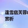 逢雪宿芙蓉山主人 逢雪宿芙蓉山主人》古诗赏析