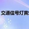 交通信号灯黄灯亮时 交通信号黄灯表示什么?