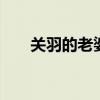 关羽的老婆是谁 关羽和谁是情侣关系