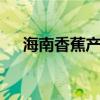 海南香蕉产地？ 海南香蕉产地分布介绍