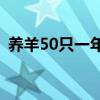 养羊50只一年赚多少钱(20只羊一年的利润)