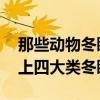 那些动物冬眠 冬眠的动物有哪些，盘点地球上四大类冬眠动物