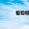 葡萄根 野猕猴桃根抗肿瘤偏方