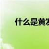 什么是黄发晶 水晶知识之黄发晶优质