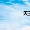 天王松子图 巴西松子图