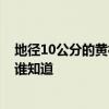地径10公分的黄栌价格 哪个能给我一份苗木黄栌的报价单 谁知道 