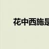 花中西施是什么花(花中珍品是什么花)