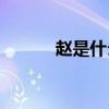 赵是什么结构(起属于什么结构)
