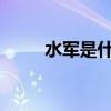 水军是什么意思 什么是网络水军？