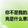 你不是我的月亮我不是你的云 那不是我的月亮是什么意思