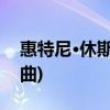 惠特尼·休斯顿的好歌(休斯顿·惠特尼经典歌曲)