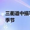 三衢道中描写的是什么季节 三衢道中指哪个季节