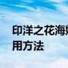 印洋之花海娜粉！ 海娜粉植物染发的具体使用方法