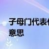 子母门代表什么意思 弱弱的问下子母门什么意思 