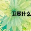 卫冕什么意思 卫冕冠军是什么意思
