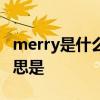 merry是什么意思 Merry Christmas 中文意思是