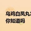 乌鸡白凤丸怎么样 如何正确服用乌鸡白凤丸你知道吗 乌鸡白凤丸怎么样 如何正确服用乌鸡白凤丸你知道吗