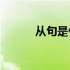 从句是什么(主,谓,宾语是什么?)