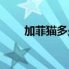 加菲猫多少钱一只(美短千万不能养)
