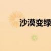 沙漠变绿洲 沙漠变绿洲的模范人物