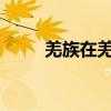 羌族在羌族文化中有哪些四大奇观