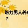 魅力男人养成法则 如何成为更有魅力的男人？