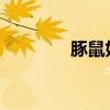 豚鼠好养吗？豚鼠形状介绍