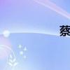 蔡琴资料 蔡琴女歌手