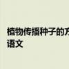 植物传播种子的方法还有哪些二年级 植物妈妈有办法二年级语文