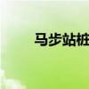 马步站桩 “四平马步”桩功和内功
